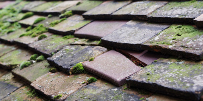 Whitwick roof repair costs